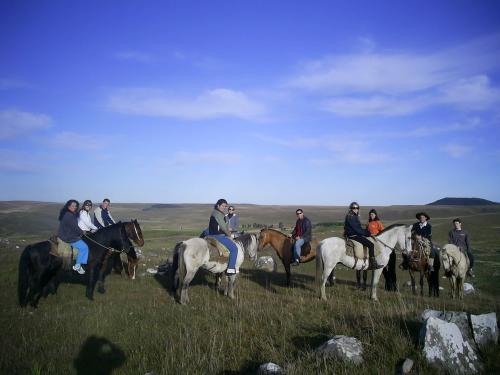 Excursão para grupos / Colégios / Universidade - Guia Aparados da Serra